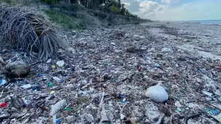 Los microplásticos se han convertido en los residuos dañinos más abundantes en las costas