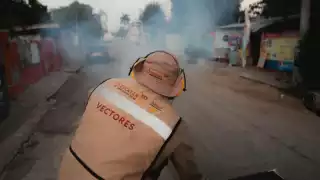 Llaman a reforzar medidas contra el mosquito ante presencia de chikungunya