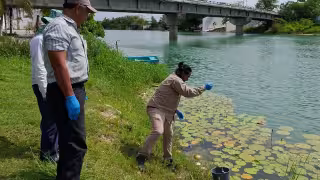 Conagua refuerza monitoreo en ríos Candelaria y Caribe
