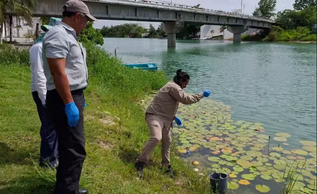 Programas de monitoreo buscan garantizar agua sustentable