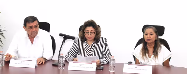 El Tribunal Electoral anuló los comicios de tres alcaldías