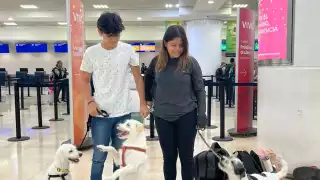 Pese a ser una decisión difícil y tener que deshacerse de sus pertenencias, sus perritos sí o sí tenían que irse con ellos