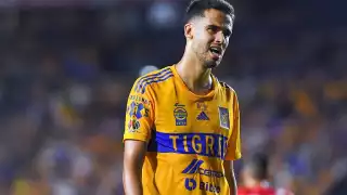 Diego Reyes no seguirá en Tigres