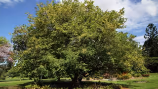 El hombre presentó fracturas tras caer al piso