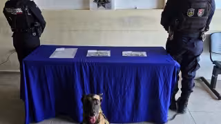 La canina “Kira” realizó un marcaje positivo en un bote de basura dentro del área de sanitarios.