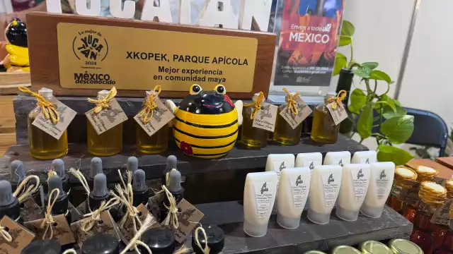 El Parque Apícola de Meliponas Xkopek salvaguarda 16 especies de estos insectos originarios de Yucatán