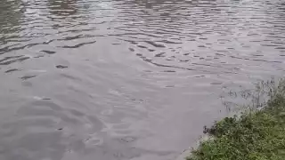 Algunas de las colonias que ya habían sido prácticamente rescatadas del agua, pues vuelven a ser parte nuevamente de estas inundaciones