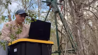 UNAM desarrolla en Mérida un sistema capaz de anticipar la dispersión de contaminantes  atmosféricos
