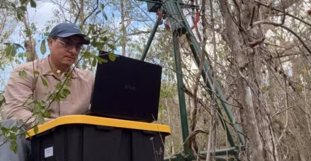 Desarrollan plataforma para que la ciencia llegue antes que el daño de los incendios forestales