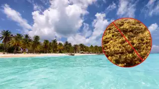 Debido a su ubicación geográfica el sargazo no es común en esta playa