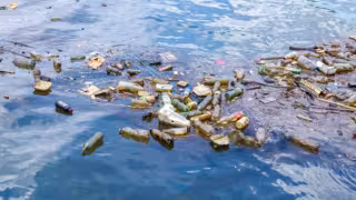 Contaminación amenaza ecosistemas en refugios pesqueros