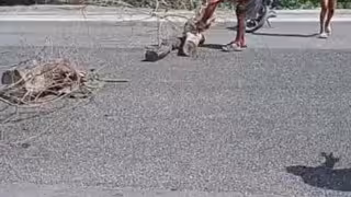 Pobladores bloquean carretera en Escárcega