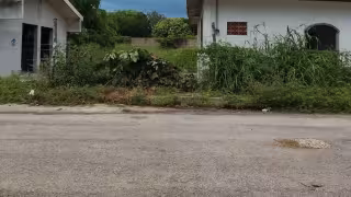 Olores insoportables afectan a vecinos de la Venustiano Carranza, en Champotón