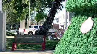 Quejosas lamentan la omisión de las autoridades para garantizarles seguridad