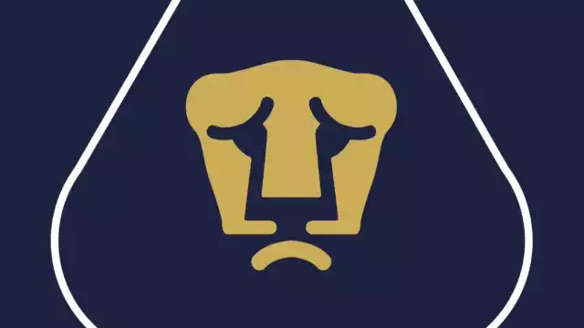 Los felinos recibieron doble golpe.