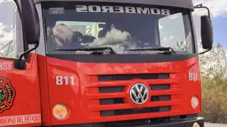 Los bomberos permanecieron en el sitio tras embestir al venado