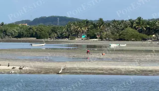 Una bajamar remarcada alejó varios metros el mar de la costa.