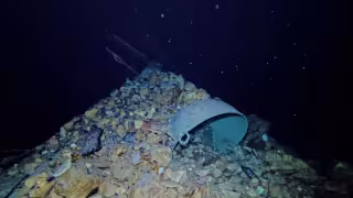 Este es el tesoro oculto por 180 años hallado en un cenote debajo del exconvento de Valladolid