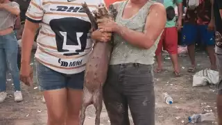 La diputada participó en el evento donde se maltrataron aimales.