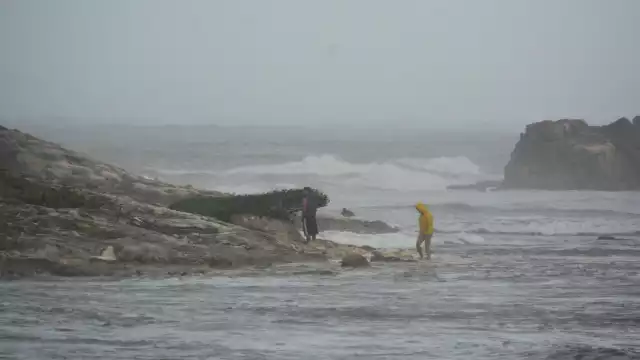 Se prevé que la fuerza del meteoro bajará de categoría para el miércoles 3 de julio.