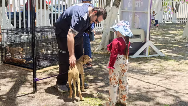 Se espera que estos animales rescatados encuentren un hogar lleno de amor.