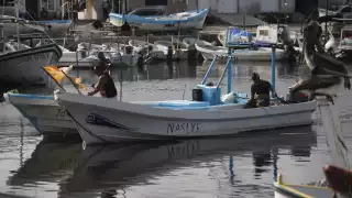 Frentes fríos  ponen en riesgo al sector pesquero en Yucatán por la baja captura de mero