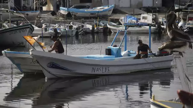 La inactividad por el mal tiempo ha puesto en jaque la captura de mero, la segunda especie en importancia