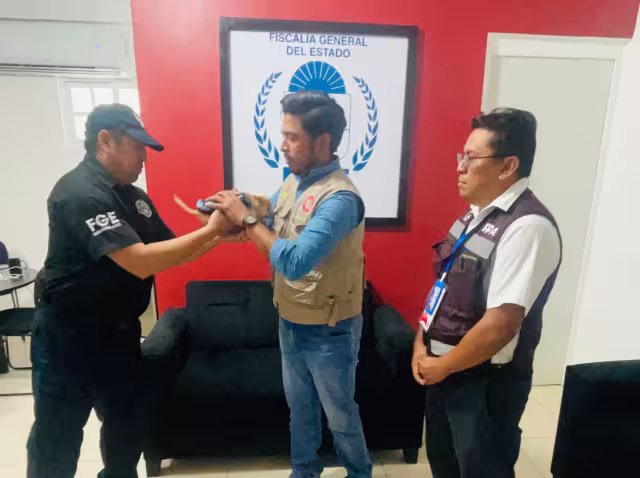 El canino quedó bajo resguardo de la SEMA, sano y salvo