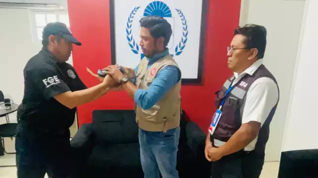 El canino quedó bajo resguardo de la SEMA, sano y salvo