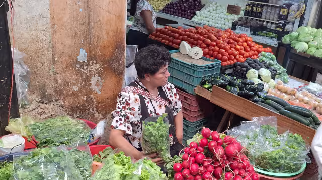 Canaco prevé un incremento de 15 por ciento en ventas durante la época de vacaciones de primavera