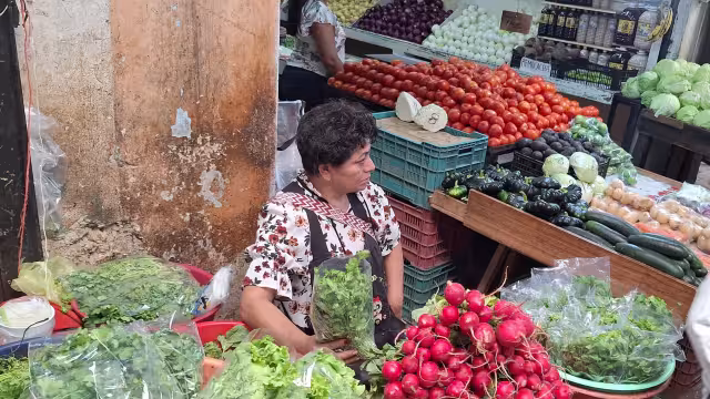 Canaco prevé un incremento de 15 por ciento en ventas durante la época de vacaciones de primavera