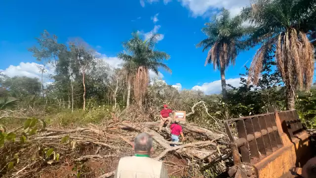 La Profepa clausuró las obras y aseguró la maquinaria usada para la deforestación
