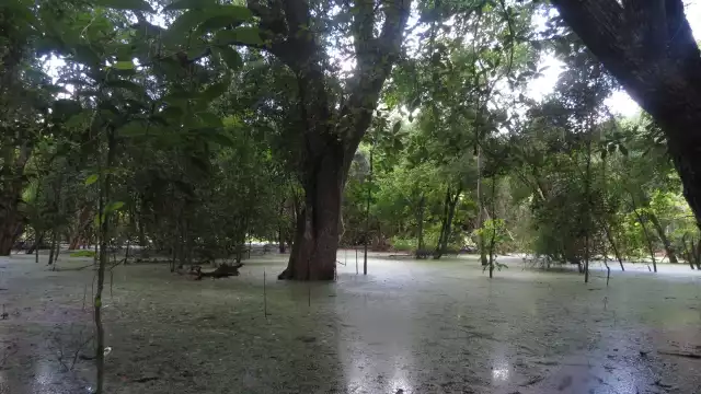 Cada dos kilómetros podían encontrar un reservorio de agua dulce