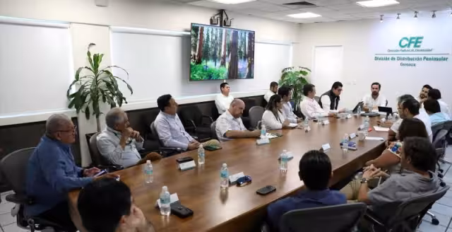 Gobierno de Yucatán y CFE inician mesas de trabajo en materia energética