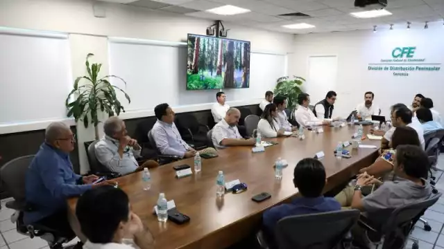 Gobierno de Yucatán y CFE inician mesas de trabajo en materia energética