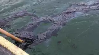 PEMEX envía investigadores a plataforma Akal-C1, pero afirman que se trata de “chapopoteras naturales”