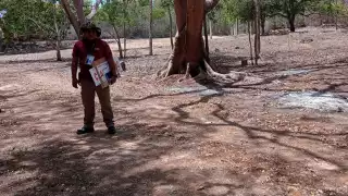 Se investiga ecocidio en Puuc: más de 20 especies afectadas y posibles complicidades