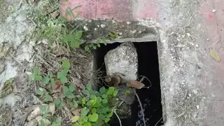 Cajas de registro sin tapa representan peligro en la colonia San Martín