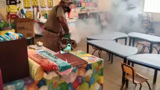 Se detectaron seis casos de virus Coxsackie en Pugnachen, Calkiní.