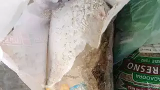 Los ciudadanos expresaron su descontento ante el estado de los productos