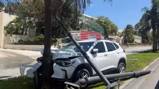 La camioneta terminó impactando la palmera y derribando algunos postes.
