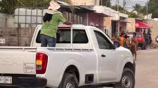 Un ataque de abejas provocó una fuerte movilización en la colonia Guadalupe de Seybaplaya.