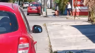 Segundo ataque masivo de abejas en Chetumal en menos de 24 horas