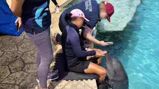 Cada uno de los nueve delfines es evaluado de manera individual para determinar su estado de salud