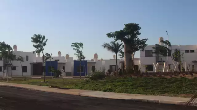 La AMPI busca que los casi 20 mil asesores en Yucatán se integren al registro avalado por el Insejupy