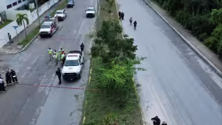 La falta de mantenimiento a la infraestructura causó que el año pasado un hombre muriera electrocutado mientras podaba el camellón