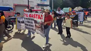 “Queremos que se implementen castigos ejemplares”: Anuncian marcha contra el maltrato animal en Seyé