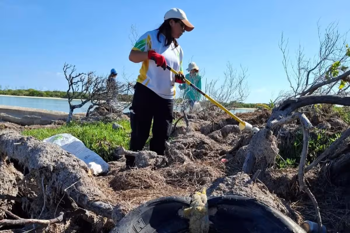 Recolectan más de 400 toneladas de basura en playas de Yucatán - PorEsto
