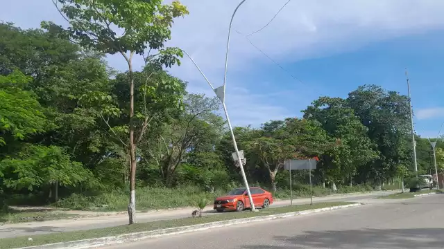 Deysi Luna Díaz solicita a la Dirección de Servicios Públicos asegurar un poste de energía pública en la avenida Solidaridad.