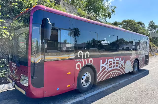 Las unidades son para uso general y con comodidades adecuadas.